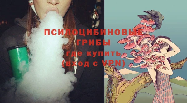 соль ск Арсеньев