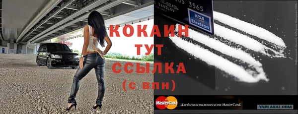 соль ск Арсеньев