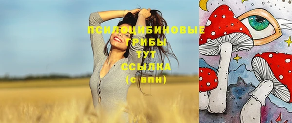 соль ск Арсеньев