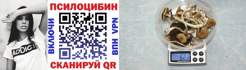 Псилоцибиновые грибы Psilocybine cubensis  закладка  Баймак 